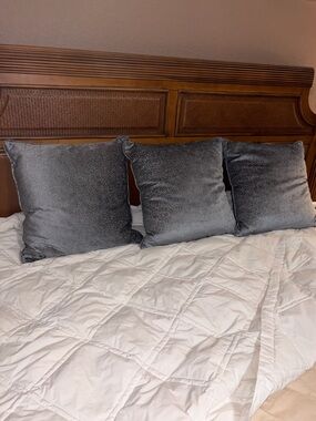 Like new set of 3 BARCLAY BUTERA 22" Pillow covers with Duck feather inserts